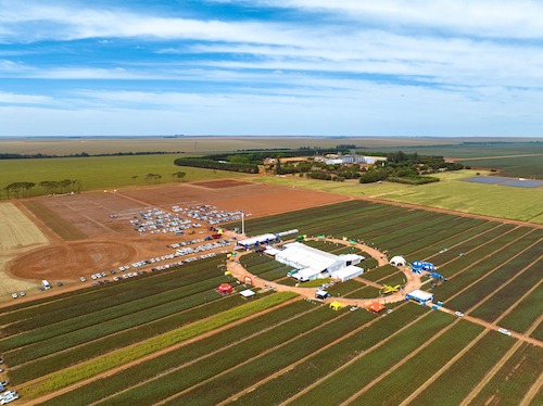 G.A.Tec Algodão 2025 promove imersão no futuro do algodão brasileiro