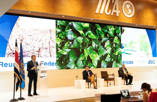 Na declaração, as Federações Agrícolas das Américas concordaram com uma visão compartilhada que destaca o papel central dos produtores na transformação dos sistemas alimentares, a promoção da inovação para o comércio, a gestão sustentável dos solos, o uso de sementes de qualidade e uma nova narrativa que posicione o setor agrícola como uma solução aos desafios globais por suas contribuições significativas para a segurança alimentar, mediante parcerias público-privadas e decisões baseadas em ciência. Além disso, a FECAGRO solicitou o apoio do IICA para estabelecer uma rede com as Federações Agrícolas das Américas a fim de criar espaços de articulação técnica e política em temas de interesse comum, bem como cooperação técnica nas prioridades incluídas na declaração e a continuidade na construção de pontes com os produtores das Américas para a geração de políticas públicas integradas. A abertura do encontro esteve a cargo do Vice-Ministro da Agricultura da Costa Rica, Fernando Vargas; o Presidente da FECAGRO, Francisco José González; e o Diretor Geral do IICA, Manuel Otero. “Somente por meio de uma cooperação eficaz, um diálogo constante e uma visão compartilhada poderemos garantir que a agricultura continue sendo um pilar da segurança alimentar e do desenvolvimento sustentável das Américas e do mundo”, ressaltou o Vice-Ministro Vargas. O Presidente da FECAGRO destacou, por sua vez, que o continente americano é líder em produção e exportação de alimentos, com um setor agrícola dinâmico que gera empregos, investimentos e desenvolvimento, ressaltando a necessidade de uma voz hemisférica unificada com princípios técnicos e visão estratégica para ter influência em foros globais e fortalecer a coordenação público-privada para enfrentar desafios comuns e projetar uma agenda compartilhada. “As Américas abastecem o mundo: produzimos 30% dos alimentos consumidos globalmente, e por trás dessa capacidade produtiva há mais de 20 milhões de produtores. O setor agrícola das Américas representa milhões de decisões empresariais que geram emprego, integram territórios rurais e apostam na inovação. A competitividade do setor não depende só do trabalho no campo, mas também de regras de comércio justas, estruturas regulatórias baseadas em ciência e acesso à tecnologia”, explicou González. Otero, por sua vez, mencionou que é necessária “uma defesa estratégica e racional do setor agropecuário nas Américas”, por seu papel como avalista da segurança alimentar mundial e da sustentabilidade ambiental. “Gostemos ou não, o setor agrícola das Américas é e continuará sendo, por décadas, um ator fundamental da segurança alimentar global”, disse.