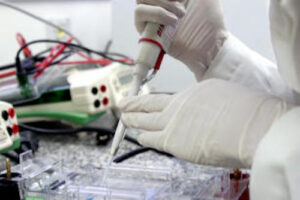 Embrapa tem três projetos aprovados na maior chamada INCT da história