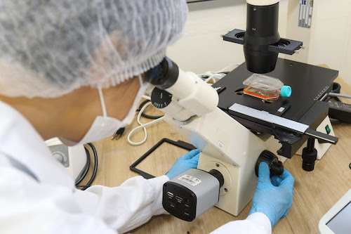 Solução antimicrobiana à base de cobre desenvolvida na Unicamp permite desinfecção em materiais e utensílios