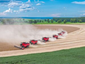 Cinco falhas que mais param as colheitadeiras na safra e como evitá-las