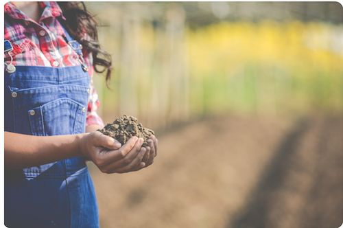 Recuperação de solos após inundações, por meio do uso de fertilizantes