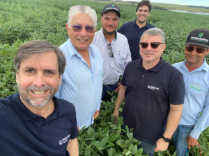 Brasil emite os primeiros créditos de carbono de agricultura regenerativa nas Américas