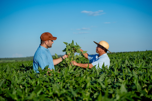 Construída por gerações, a sustentabilidade no agro se renova com foco em logística reversa
