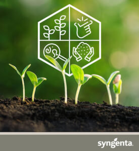 Molécula incomparável apresenta um novo conceito de proteção contra nematoides, doenças e beneficia a saúde do solo