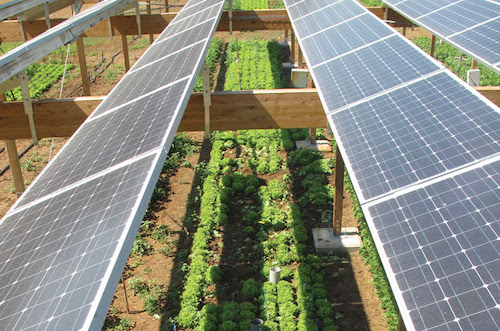 Plano Safra reduz recursos para transição energética com energia solar e sistemas de armazenamento, alerta ABSOLAR