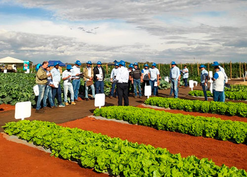 Profissionais da horticultura do Brasil e exterior recebem atualização técnica para fortalecer a produção e o apoio ao produtor
