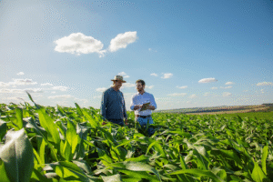 BASF reforça seu compromisso com o sistema de distribuição durante o 14º Congresso da ANDAV