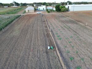 Biotrop fomenta agricultura natural em parceria com a Fazenda Modelo Paulo Mizote, na Bahia