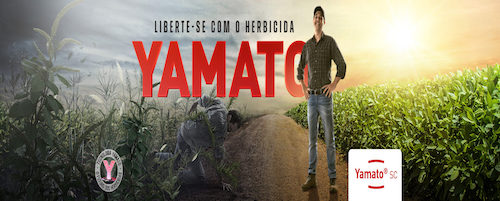 Capim-amargoso desafia sojicultores e exige manejo estratégico com tecnologias pré e pós-emergentes para manter a produtividade