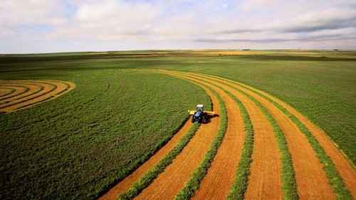 O avanço dos sistemas integrados e a nova fronteira da sustentabilidade no campo