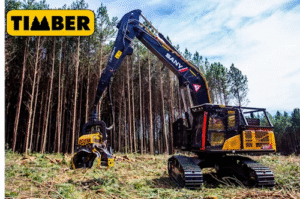 Timber chega a Três Lagoas com lançamento exclusivo