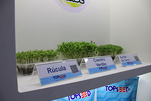 Topseed e Topseed Garden levam linha de microverdes para a 30ª Hortitec
