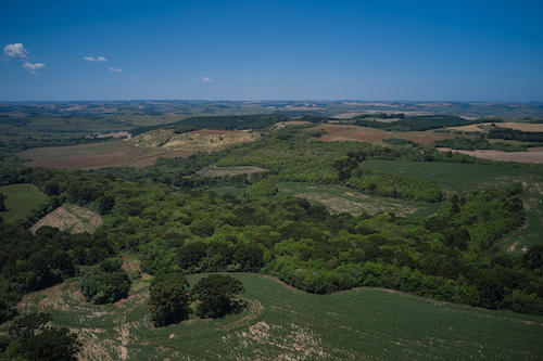  Yara atinge meta de sustentabilidade e utiliza apenas energia elétrica renovável em suas operações em 2024