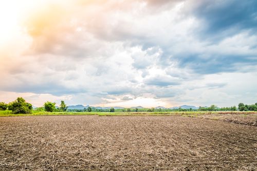 Investimento verde: terras improdutivas estão se tornando oportunidade para agtechs e investidores do agro