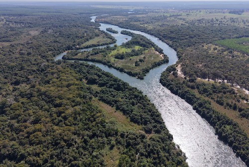 Arauco captou US$ 2,2 bilhões com BID Invest, IFC e Finnvera para financiamento do Projeto Sucuriu