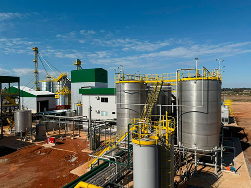 Produção do etanol de trigo é aposta para ampliação da matriz energética sustentável no Brasil