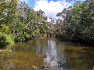 Plano de Bacia do Recôncavo Norte e Inhambupe entra na reta final com entregas estratégicas
