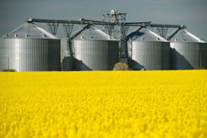 Sem novos investimentos em armazenagem de grãos, em uma década o Brasil pode ficar estagnado, projeta conselheiro do CCAS