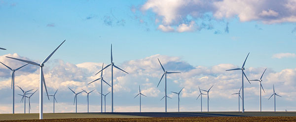 Os caminhos da energia eólica offshore no Nordeste