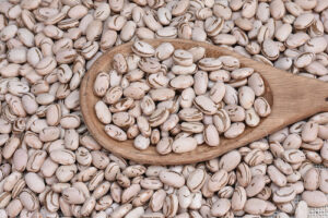 Semiárido Show 2025 - Embrapa lança feijão biofortificado, mais rico em ferro e zinco e resistente à doença