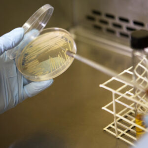 Seminário da Embrapa discute insumos biológicos na agricultura