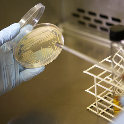  Seminário da Embrapa discute insumos biológicos na agricultura
