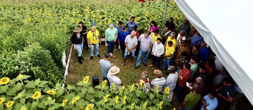 Referência em soja responsável, Fazenda Sol Nascente impulsiona inclusão social e diversidade agrícola no Maranhão e Piauí