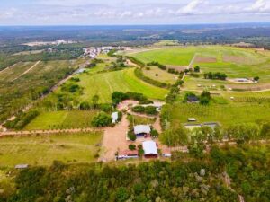 Referência em soja responsável, Fazenda Sol Nascente impulsiona inclusão social e diversidade agrícola no Maranhão e Piauí
