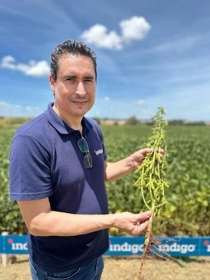 Tratamento biológico de sementes: tecnologia e sustentabilidade para uma agricultura de alto desempenho