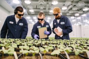 Indigo Ag apresenta inovação biológica exclusiva no Brasil