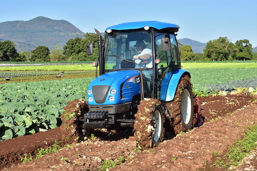 Agricultura familiar ganha protagonismo durante a Expointer