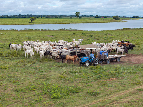 Tratores projetados para as demandas da pecuária moderna estarão na 48º Expointer