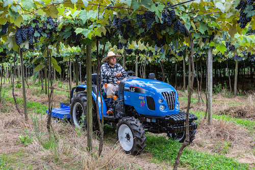 Agricultura familiar ganha protagonismo durante a Expointer