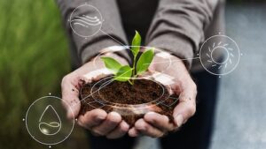 Economia circular no agronegócio: alimentos revelam o potencial do Brasil em transformar resíduos em valor sustentável