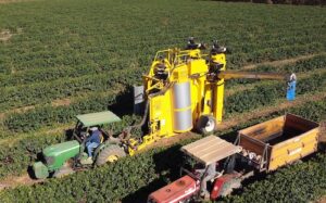 Oxbo lança colhedora de café tracionada para ampliar mecanização entre pequenos e médios produtores