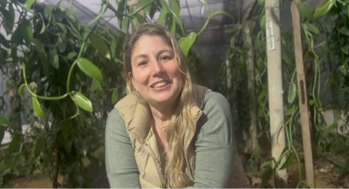 Às vésperas da COP30, produtoras rurais premiadas mostram como práticas ESG impulsionam produtividade e geram impacto além da porteira 