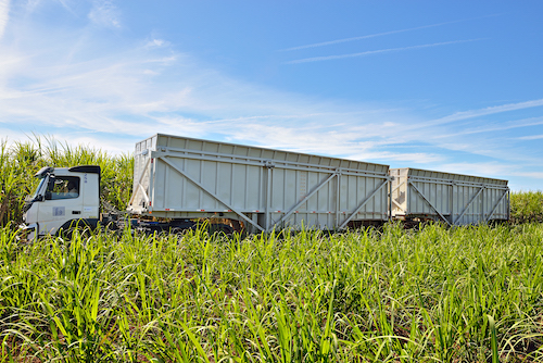 Sergomel expõe Rodotrem 9 eixos na Megacana Tech Show Brasil 2025
