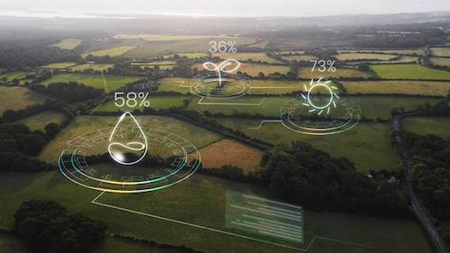  Treesales estreou na Fenasucro & Agrocana reforçando debates sobre o futuro da bioenergia