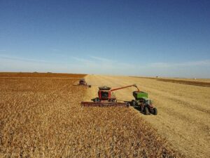 Acordo inédito para exportação de sorgo abre nova oportunidade para produtores brasileiros
