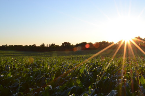 Brasil se destaca na expansão tecnológica do agronegócio na América do Sul como referência em soluções sustentáveis