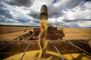 Goiás bate recorde em produção e produtividade de soja na safra 2024/25