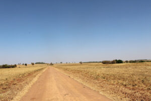 Alerta no campo: produtor deve redobrar medidas para prevenir queimadas neste período no País