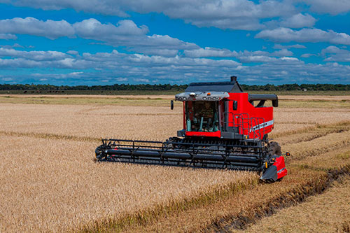 Do arroz à soja, Massey Ferguson mostra a versatilidade de suas máquinas agrícolas na Expointer 2025