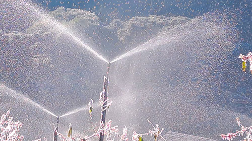 Tecnologia de irrigação anti-geada: proteção nos cultivos durante o inverno