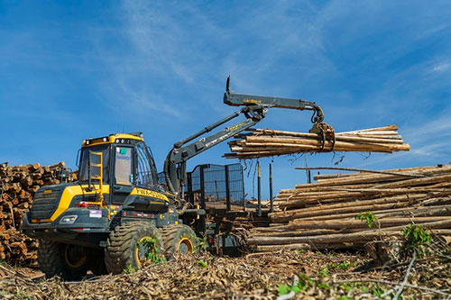 Com foco em inovação, Sotreq participa da principal feira do segmento florestal do país