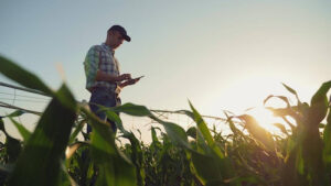 Syngenta Digital lança Cropwise Planting no Brasil – ferramenta que aprimora a gestão de dados e ajuda a ampliar a rentabilidade das lavouras