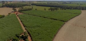 Tereos promove primeiro hackathon para acelerar a descarbonização de suas operações