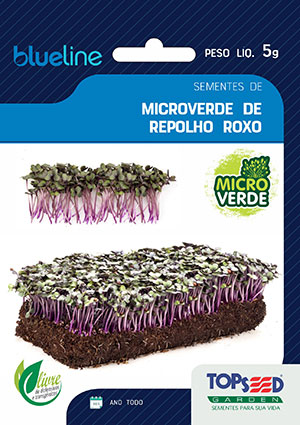 Microverdes ganham espaço nas hortas caseiras e nos pratos saudáveis