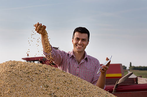 Agtech lança central de inteligência de monitoramento e rastreabilidade de grãos